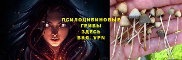 прущая мука Гусь-Хрустальный