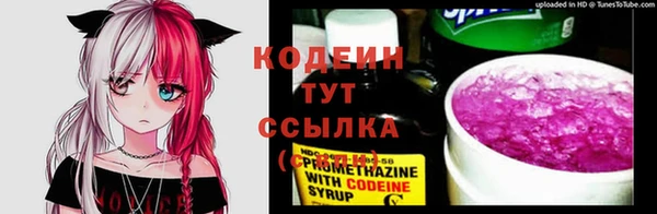 a pvp Гусев