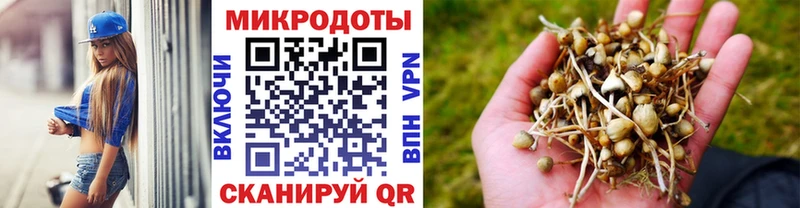 Псилоцибиновые грибы ЛСД  Купить  Котлас 